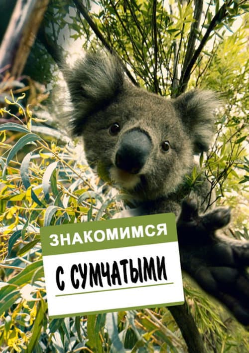 Poster for Meet the Marsupials