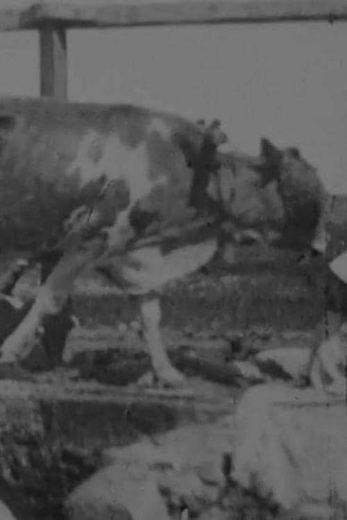 Постер до фільму «Egyptian Bullock-Pump Drawing Water»