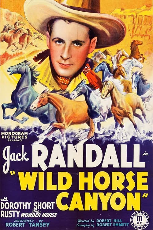 Poster for Wild Horse Canyon