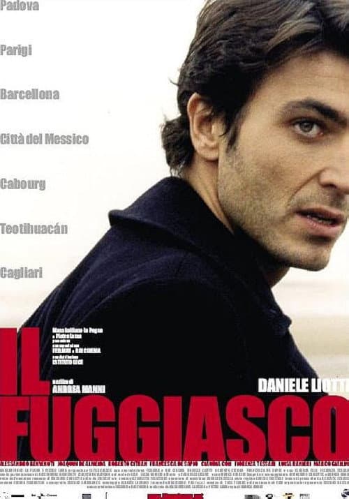 Poster for The Fugitive