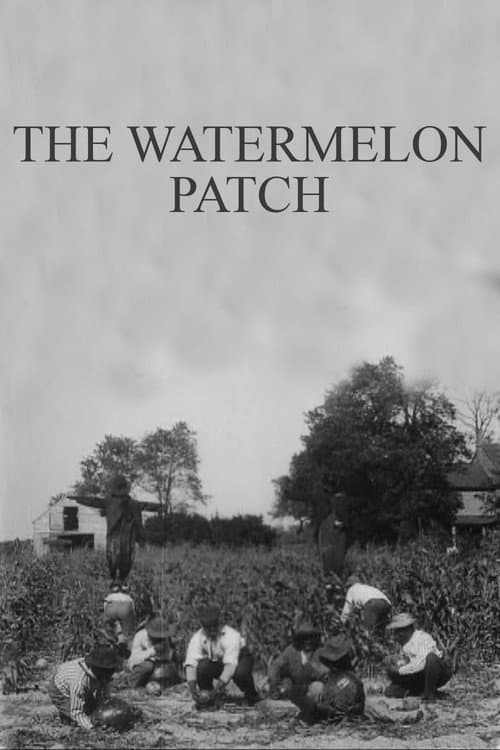 Poster for The Watermelon Patch