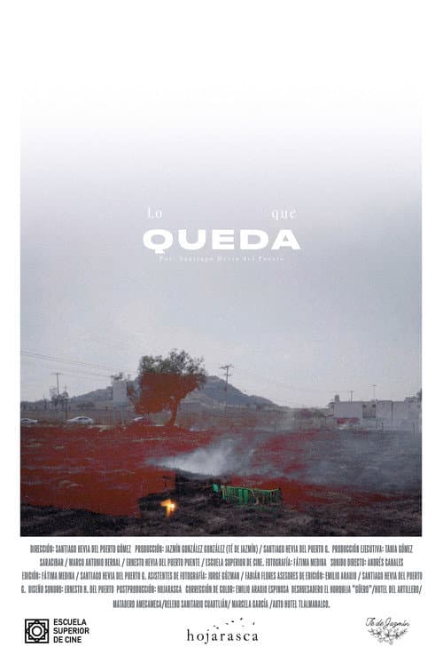 Poster for Lo que queda