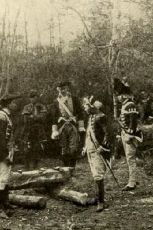 Poster for The Swamp Fox