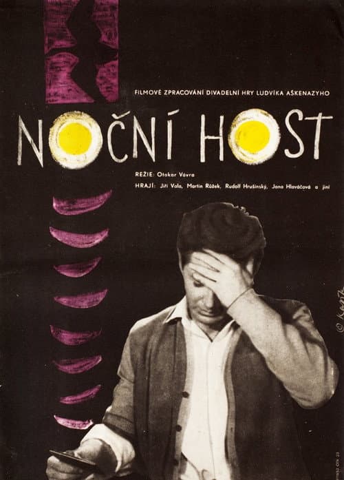 Poster for The Night Guest