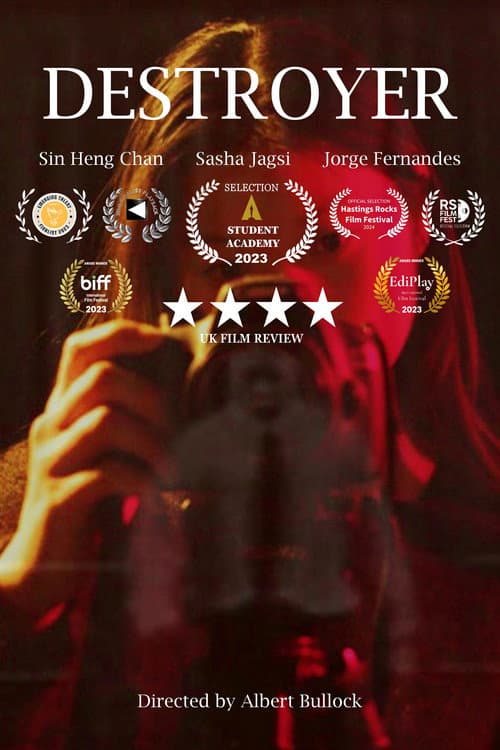 Poster for Destroyer