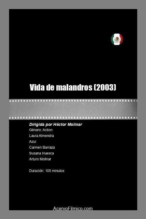 Poster for Vida de Malandros