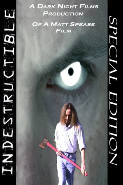 Poster for Indestructible