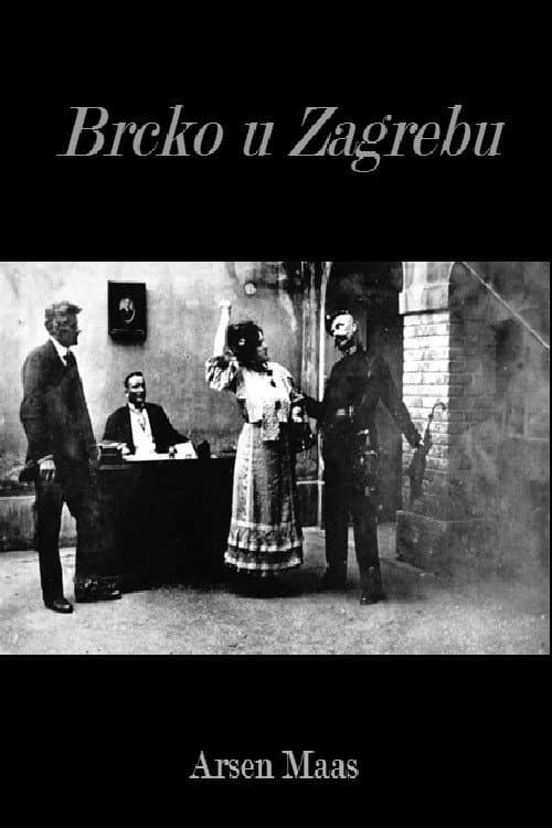 Poster for Brcko in Zagreb