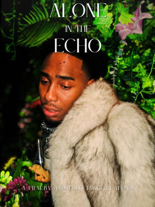 Poster for Alone in the Echo