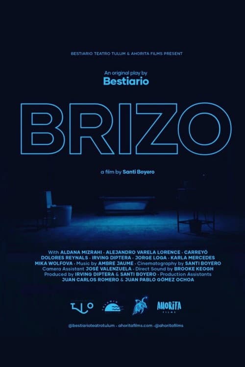 Poster for Brizo
