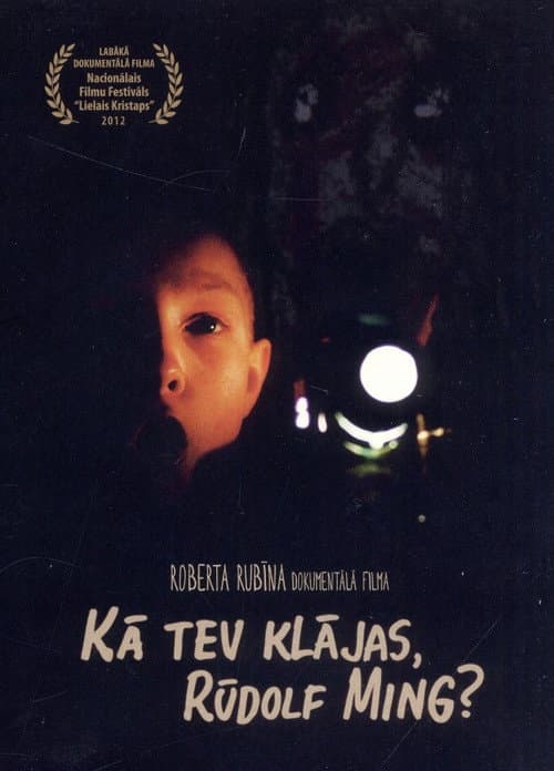 Poster for How Are You Doing, Rudolf Ming?