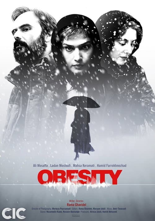 Poster for Obesity