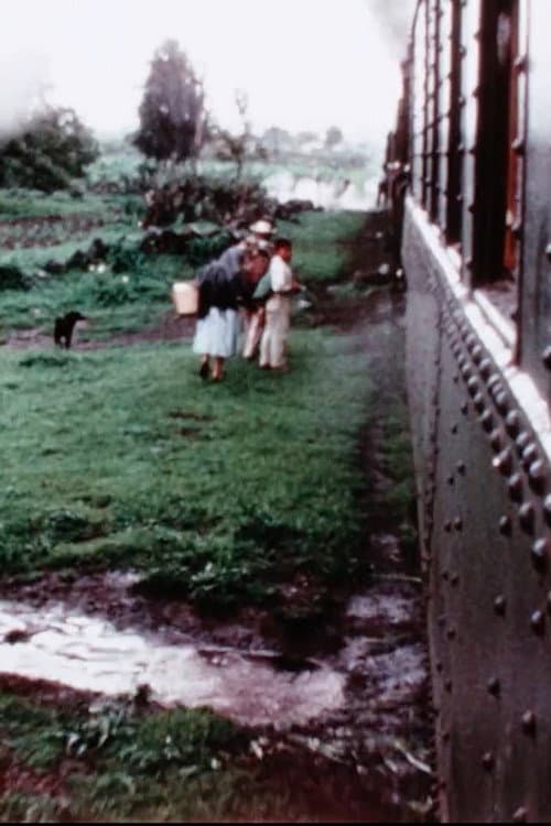 Poster for The Mexican Footage