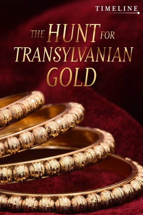 Poster for The Hunt for Transylvanian Gold