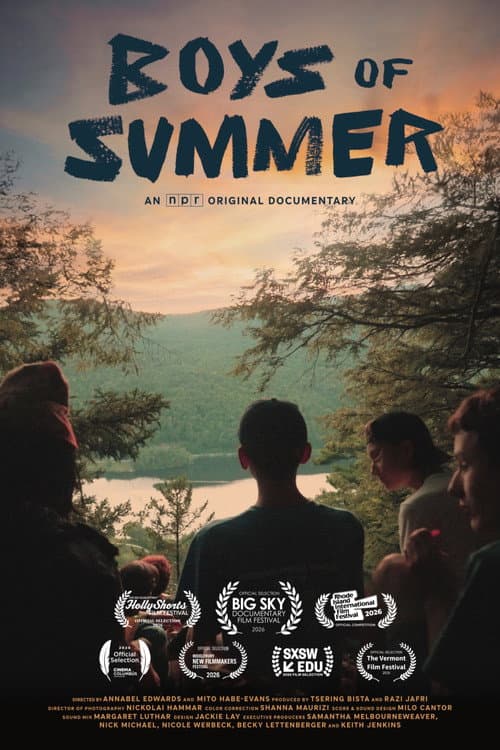 Poster for Boys of Summer