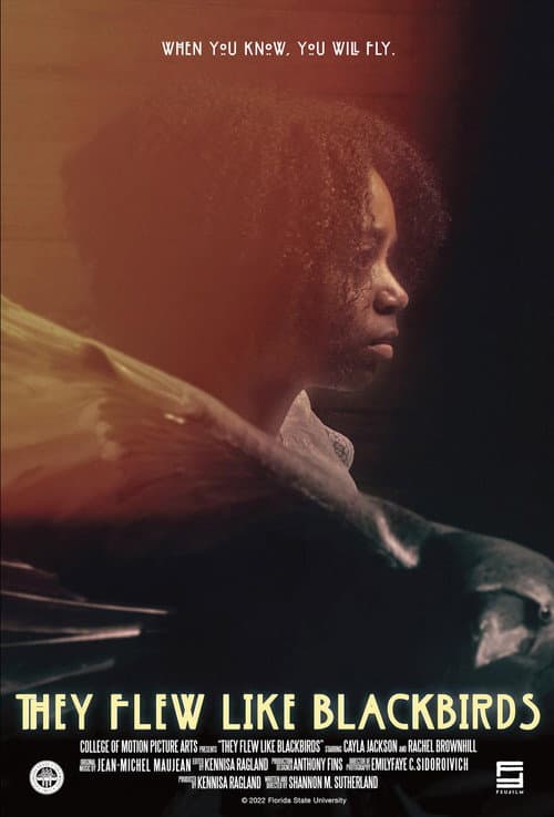 Poster for They Flew Like Blackbirds