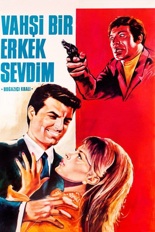 Poster for Vahşi Bir Erkek Sevdim