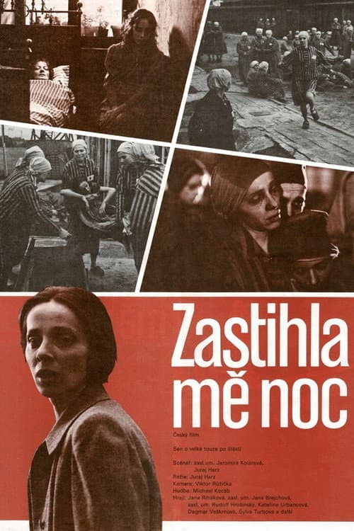 Poster for Caught by Night