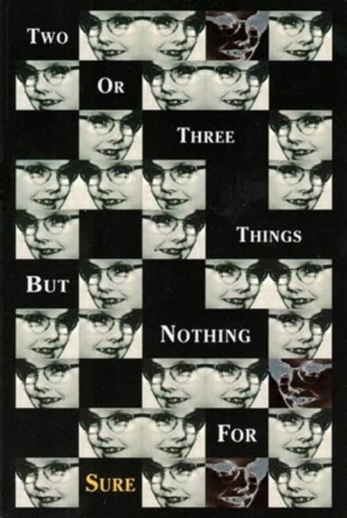 Poster for 2 or 3 Things But Nothing for Sure
