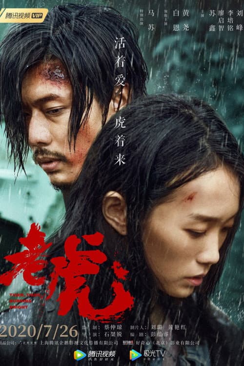 Poster for The Beautiful Kokonor Lake