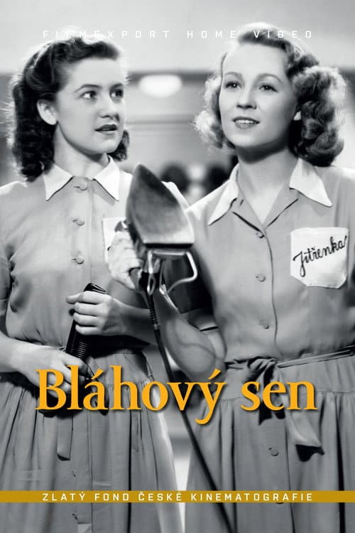 Poster for Bláhový sen