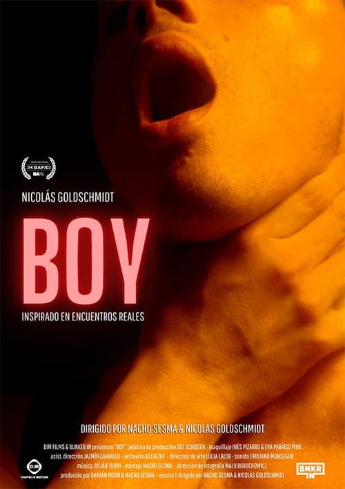 Poster for Boy