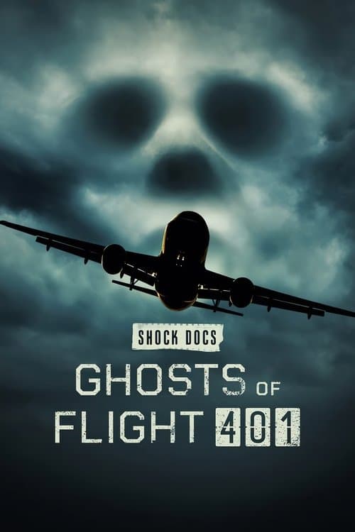 Poster for Ghosts of Flight 401