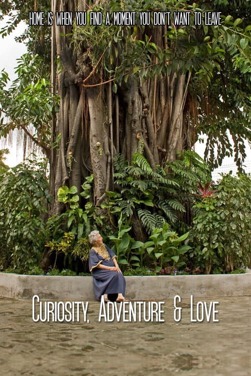 Poster for Curiosity, Adventure and Love