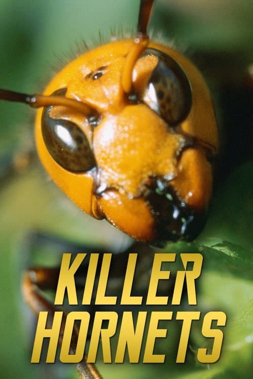 Poster for Killer Hornets