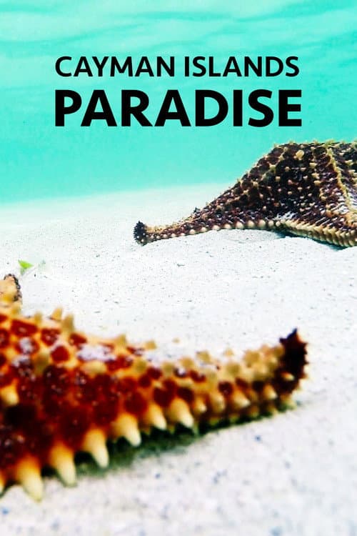 Poster for Cayman Islands: Paradise