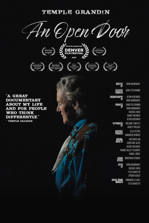 Poster for An Open Door