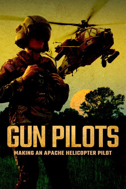Poster for Gun Pilots