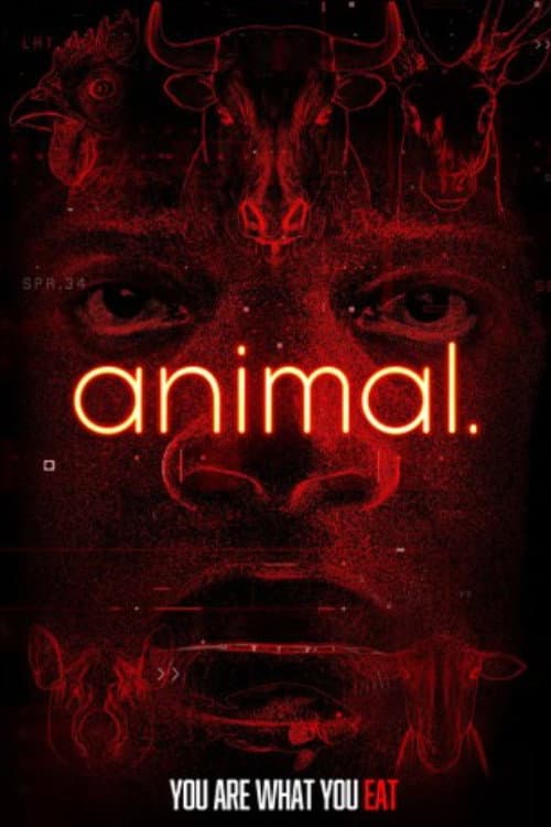 Poster for animal.