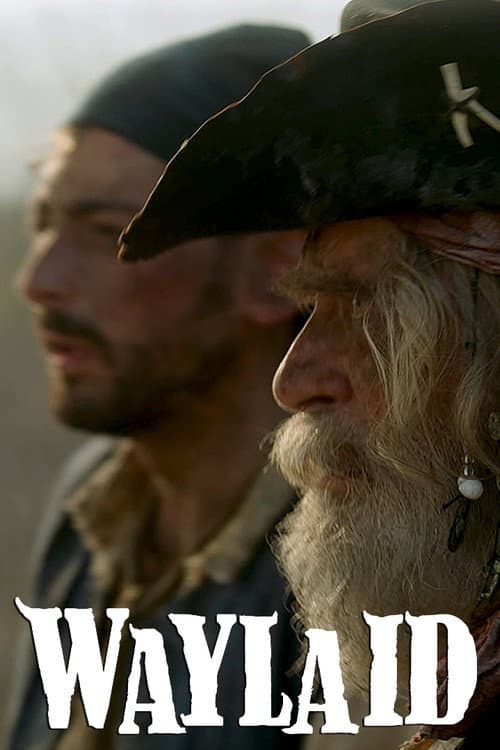 Poster for Waylaid