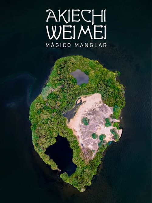 Poster for Akiechi Weimei, Magical Mangrove