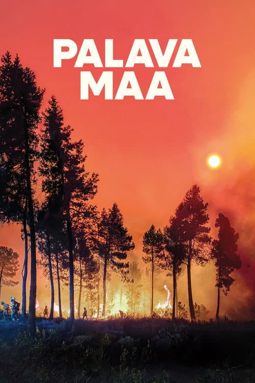 Poster for Lessons in Fire