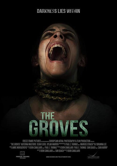 Poster for The Groves