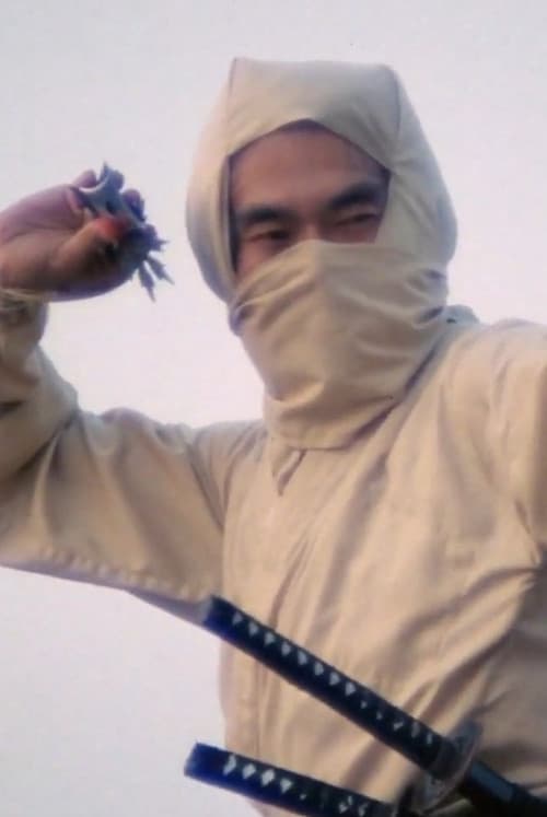 Poster for Re-Enter the 'New York Ninja'