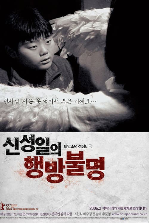 Poster for The Forgotten Child : Shin Sung-Il Is Lost