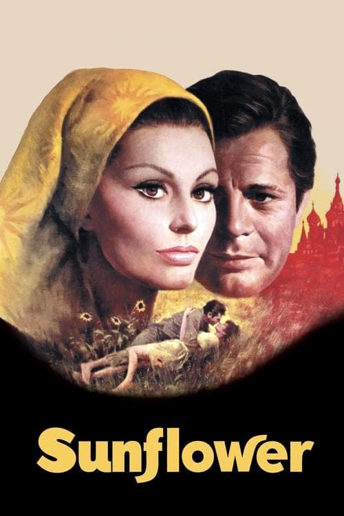 Постер до фільму «Соняшники»