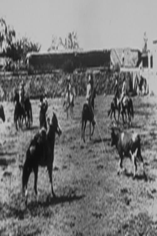 Poster for Lassage d'un boeuf sauvage