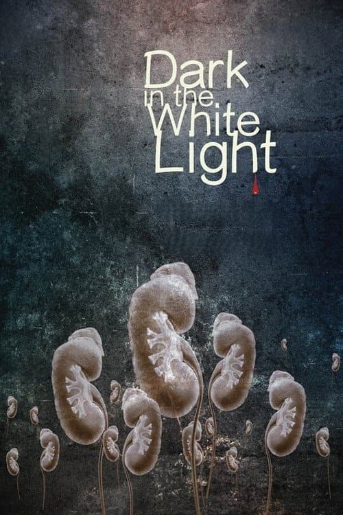 Poster for Dark in the White Light