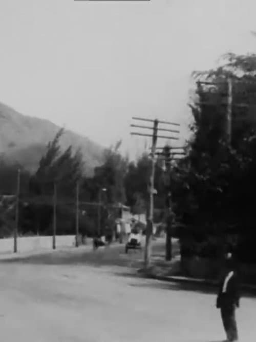 Poster for Panoramic View, Waikiki from an Electric Car, Hawaiian Islands