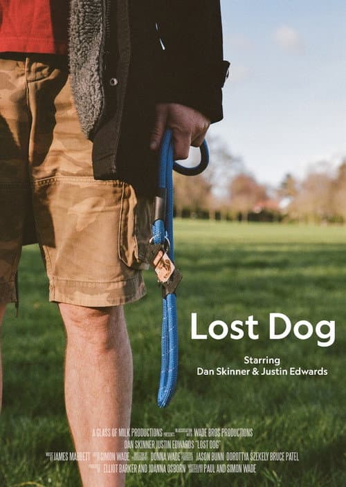 Poster for Lost Dog