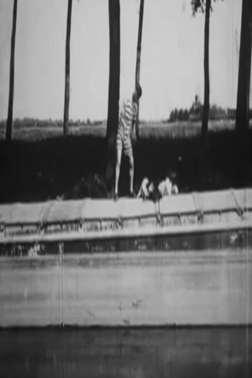 Poster for Impossible To Get a Plunge