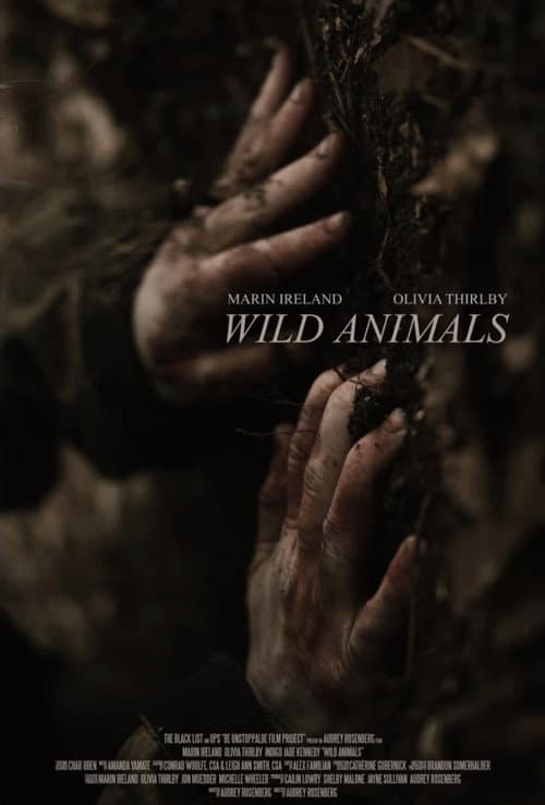 Poster for Wild Animals