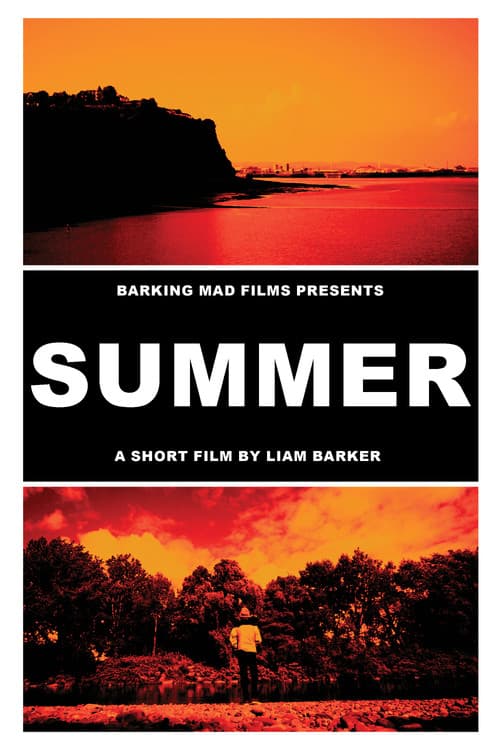 Poster for SUMMER