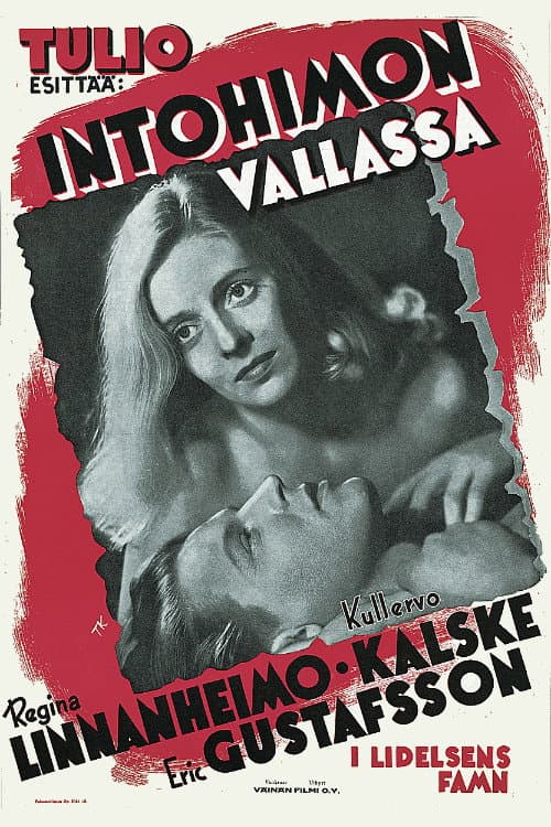 Poster for Intohimon vallassa