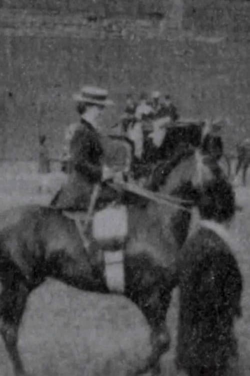 Poster for Judging Ladies' Saddle Horses