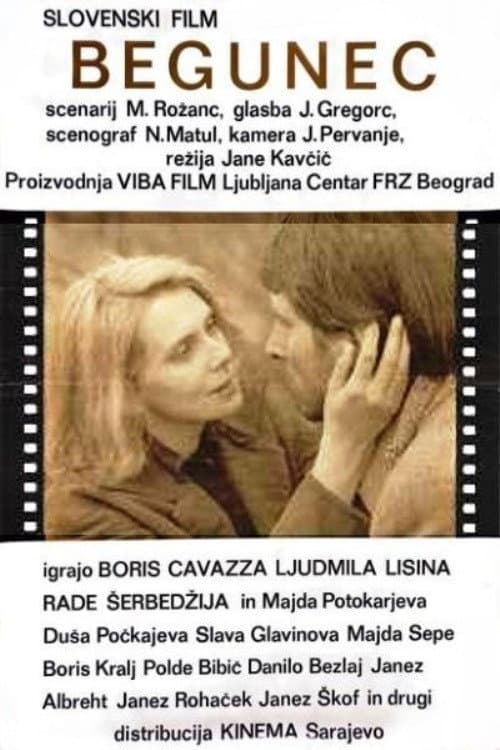 Poster for The Fugitive